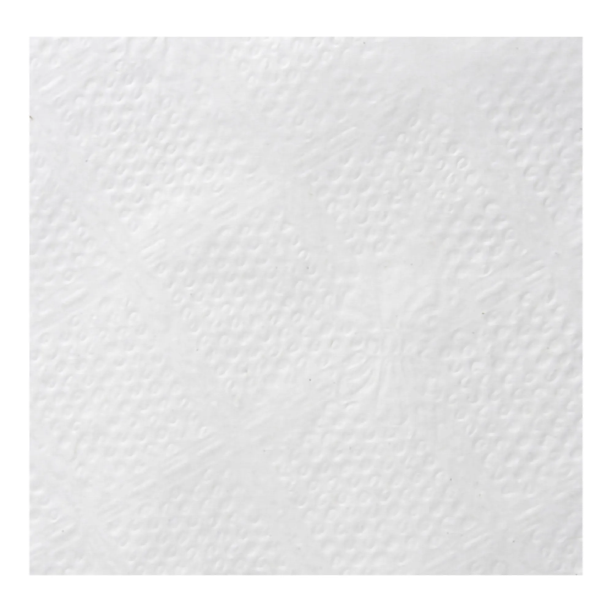 acclaim® Luncheon Napkin, 1 Pack