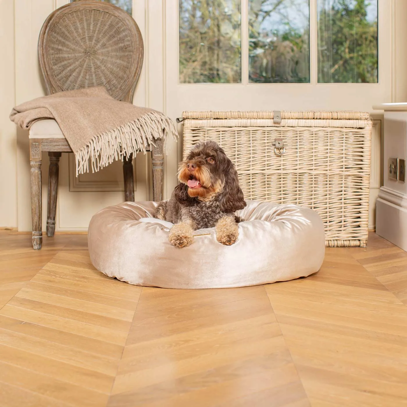 Donut Bed in Mushroom Velvet by Lords & Labradors