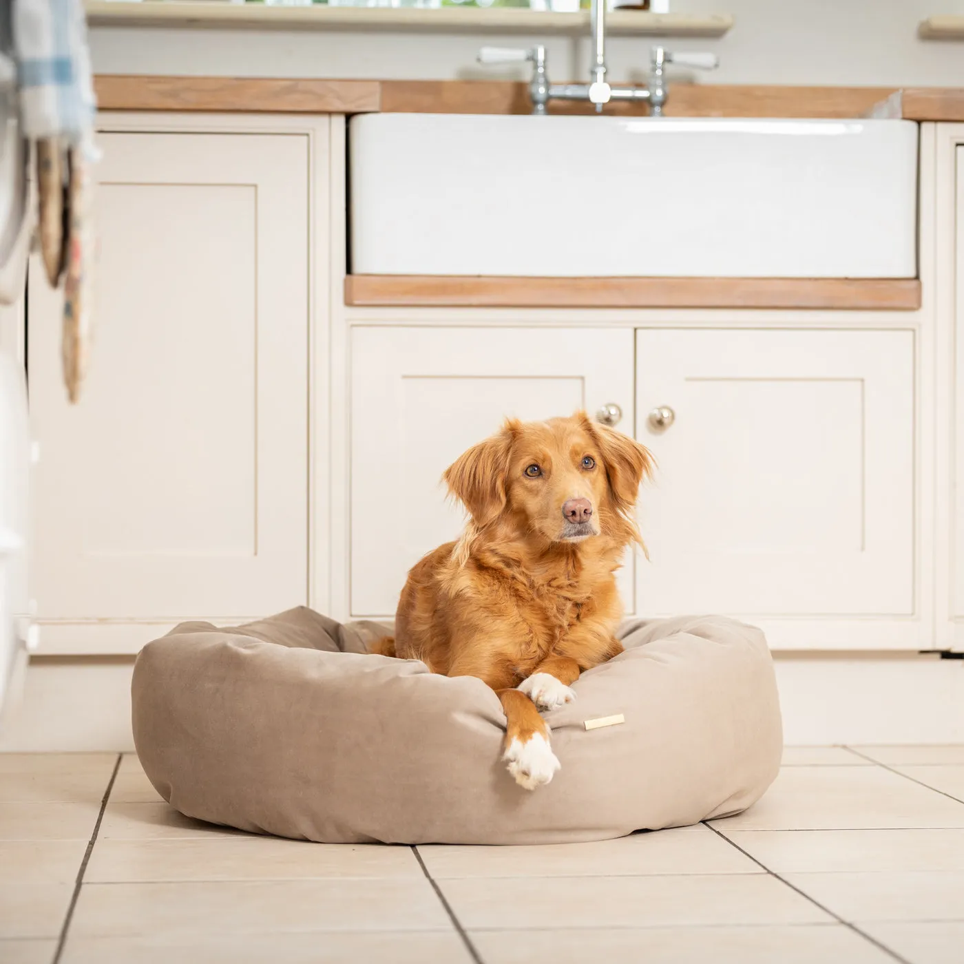 Donut Bed With Removable Covers in Clay Velvet by Lords & Labradors