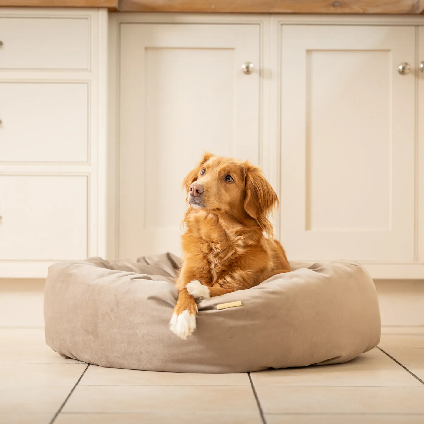 Donut Bed With Removable Covers in Clay Velvet by Lords & Labradors