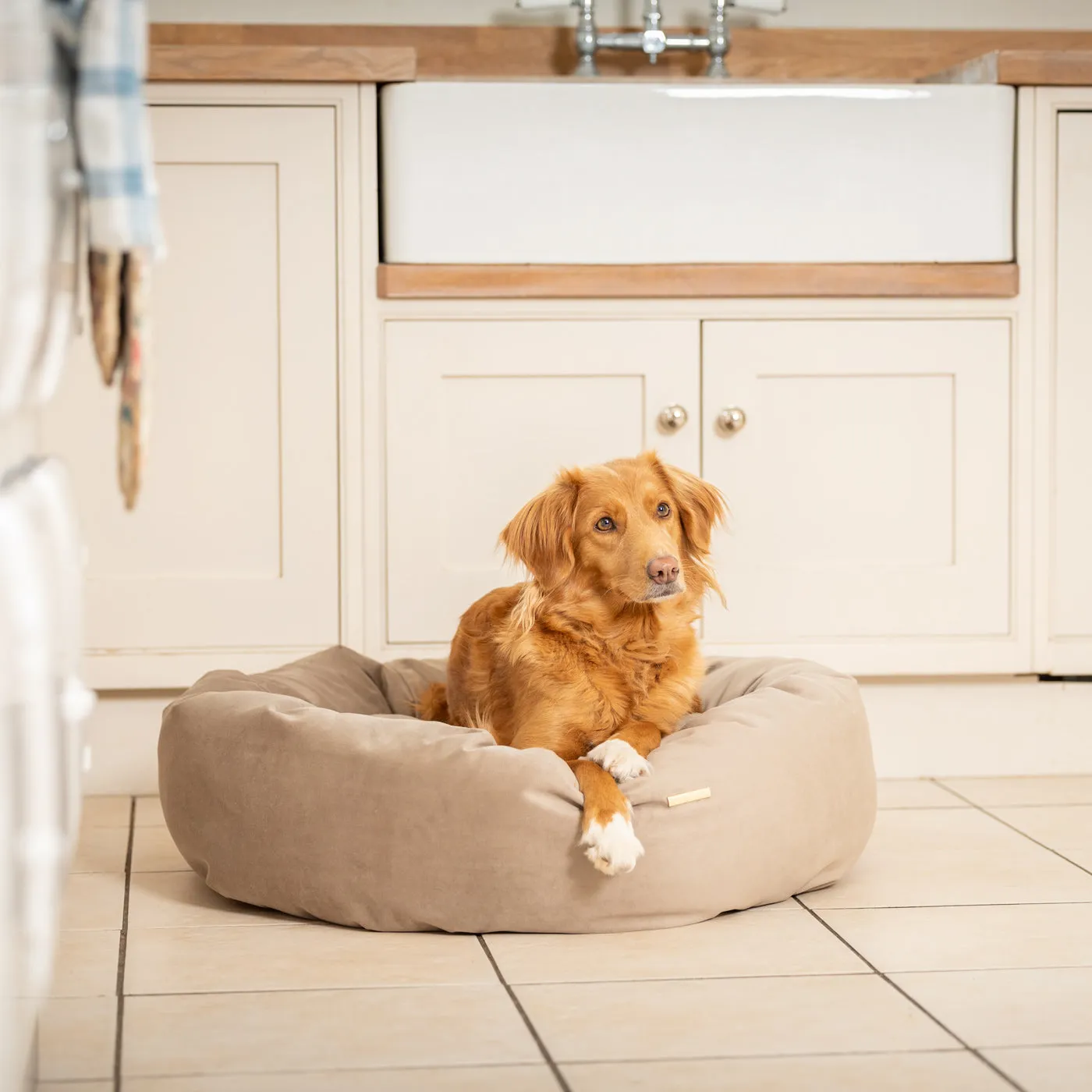 Donut Bed With Removable Covers in Clay Velvet by Lords & Labradors