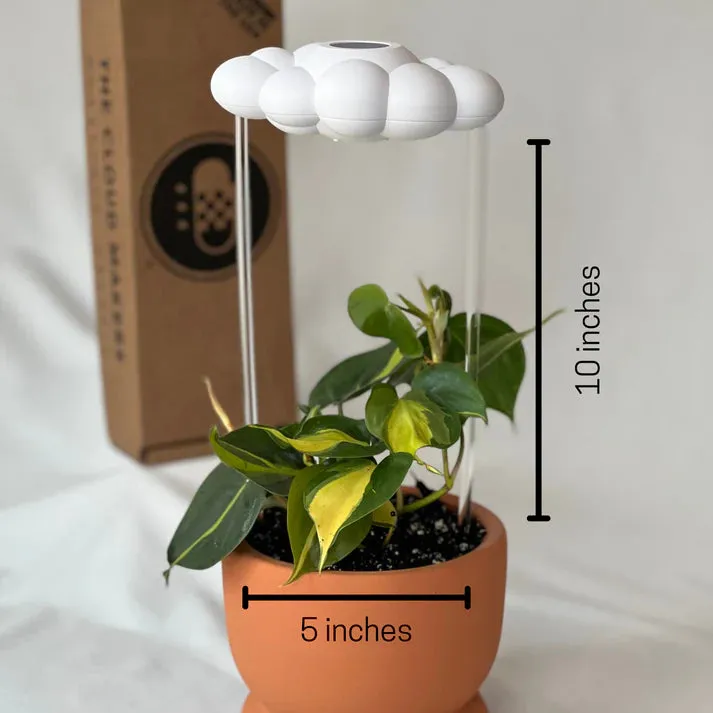 Dripping Rain Cloud Plant Waterer