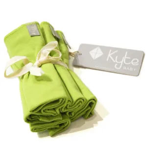 Washcloth 5-Pack in Grass